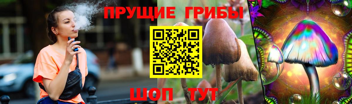 Кубинка  Псилоцибиновые грибы MAGIC MUSHROOMS  Вход с VPN 